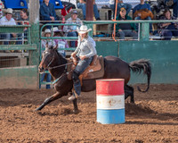 Barrel Racing - Unltd.Online Use & 8 x 10 Inch Prints