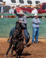 Tie Down Roping-Unltd.Online Use & 8 x 10 Inch Prints