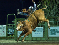 Bull Riding